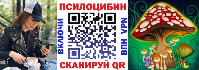Псилоцибиновые грибы мицелий  купить закладку  Высоцк 